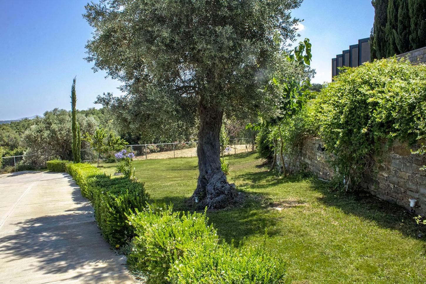 Villa Arion Krini Amnátos Exterior foto